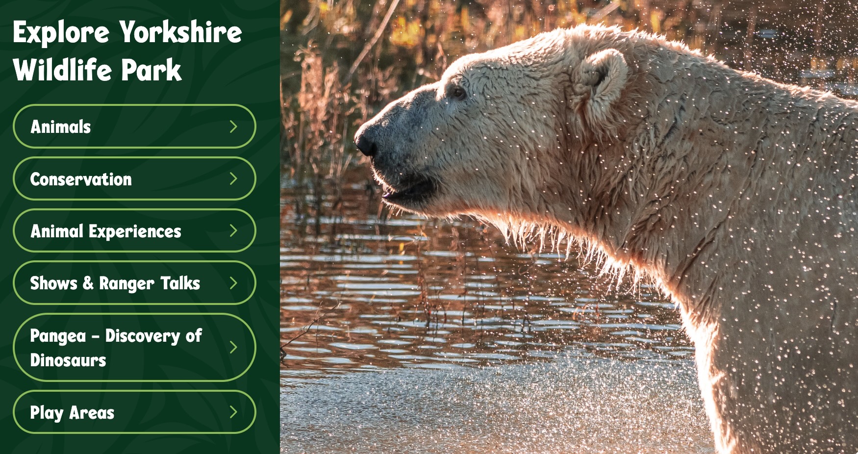 Yorkshire Wildlife Park